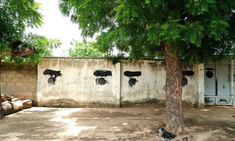Boko Haram Kills Seven Christians In Borno State, Nigeria