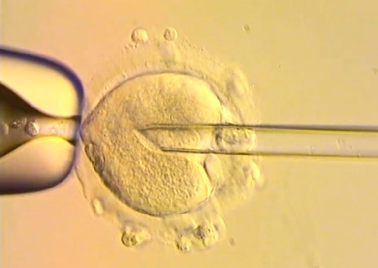 British babies born using dna from three people raise ethical