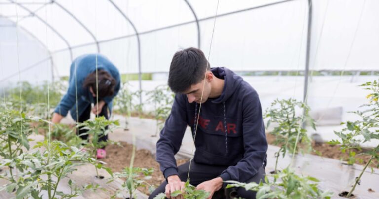 How the church cares for people in need in europe