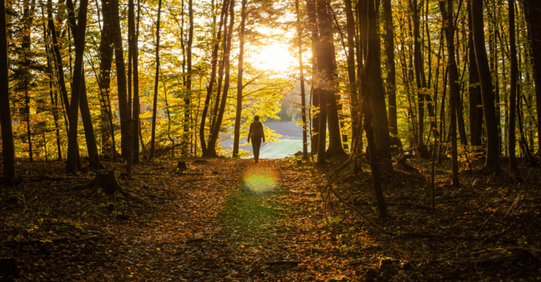 Are you following god's lead? how to stay on his