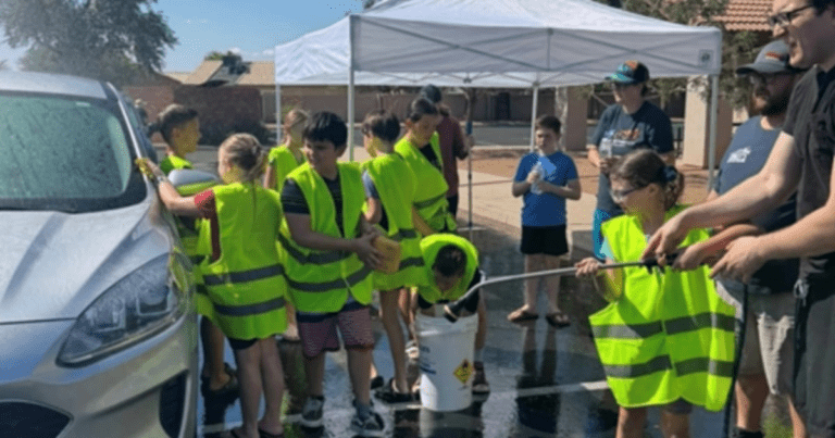 New mexico and arizona primary elections will be serving on