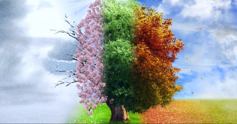 Ibelieve an inspirational devotional for christian women