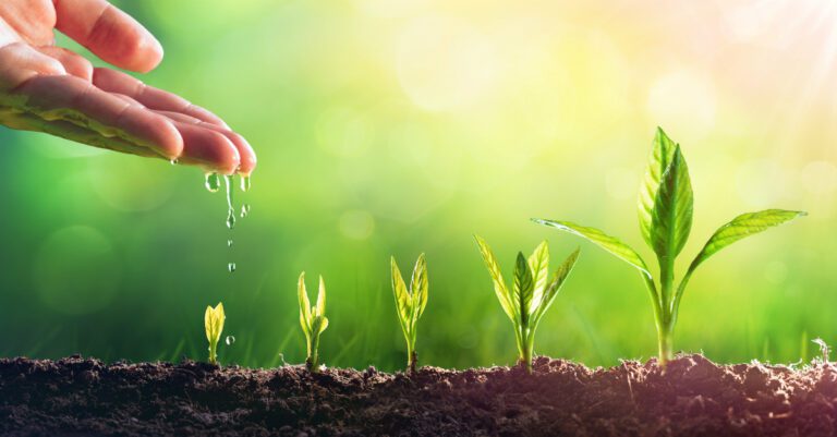 7 small habits that build faith 7 small habits that build faith