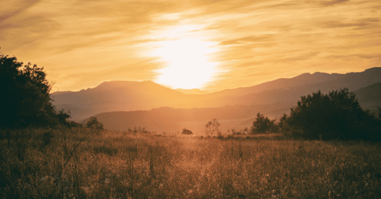 Praise god in every season