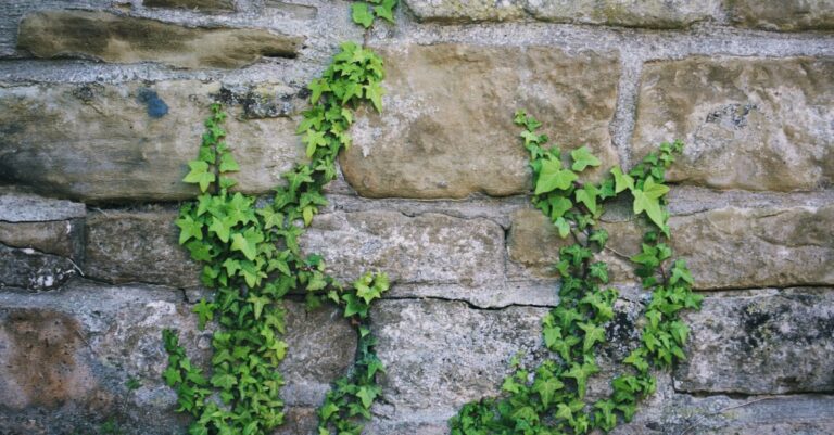 Prayer when you hit a wall | Daily Prayer July 5th Prayer when you hit a wall | Daily Prayer July